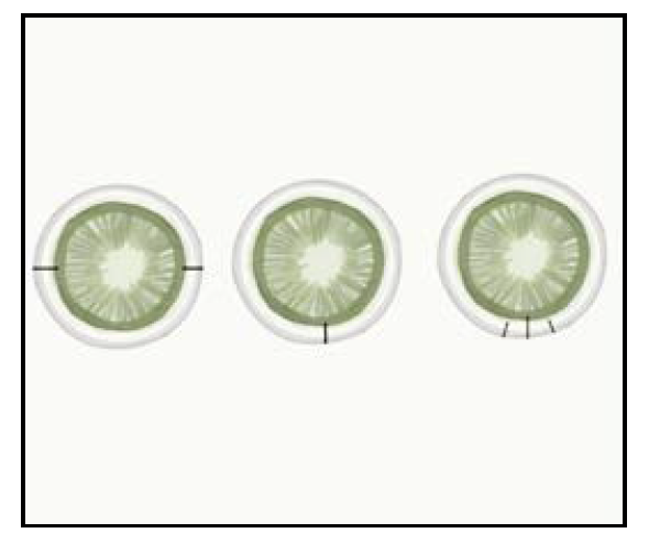 Desio colored contact lenses – luxury natural-looking contacts for light and dark eyes, available with or without prescription