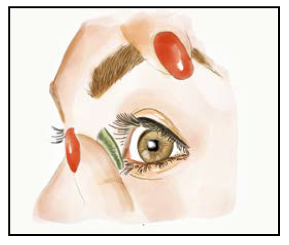 Premium Desio colored contact lenses suitable for light and dark eyes, available with or without prescription for a natural, comfortable appearance.